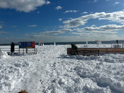 S’No More Snow Days: The Disappearance of a Childhood&nbsp;Classic